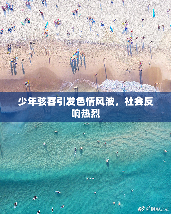 少年骇客引发色情风波，社会反响热烈