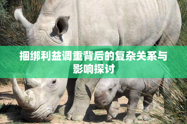 捆绑利益调重背后的复杂关系与影响探讨