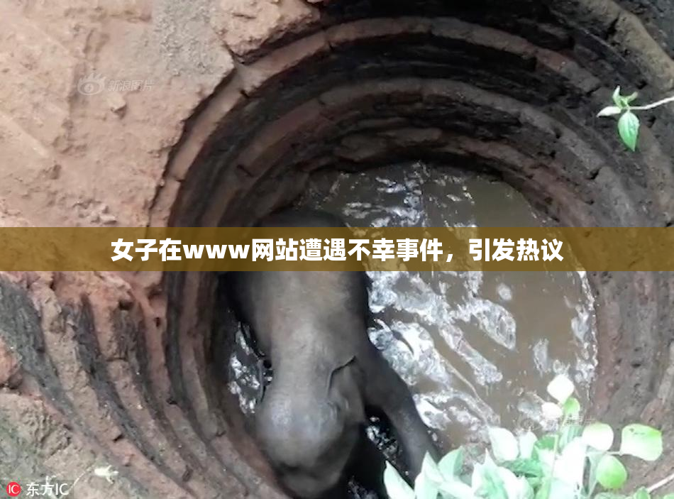女子在www网站遭遇不幸事件，引发热议
