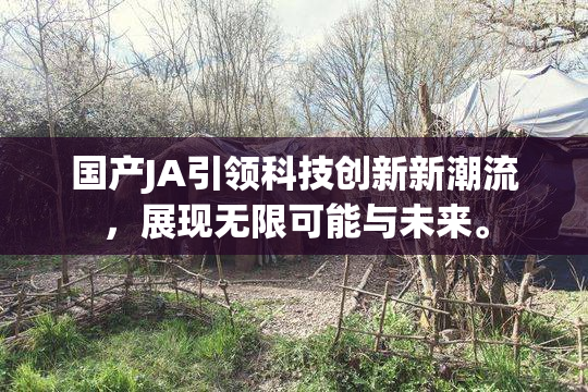 国产JA引领科技创新新潮流，展现无限可能与未来。