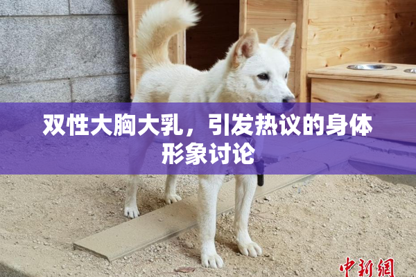 双性大胸大乳，引发热议的身体形象讨论