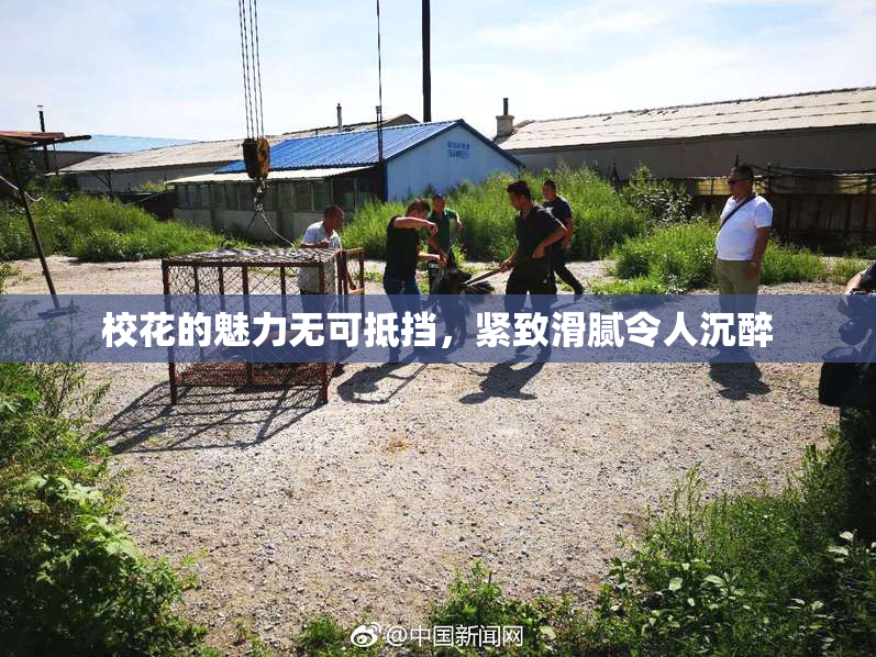 校花的魅力无可抵挡，紧致滑腻令人沉醉