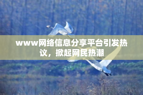 www网络信息分享平台引发热议，掀起网民热潮