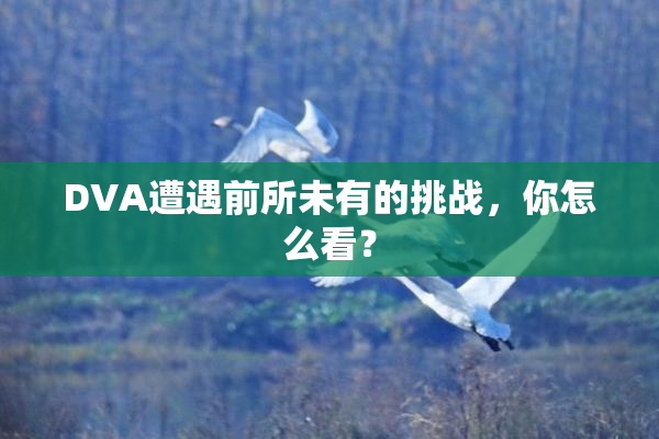 DVA遭遇前所未有的挑战，你怎么看？