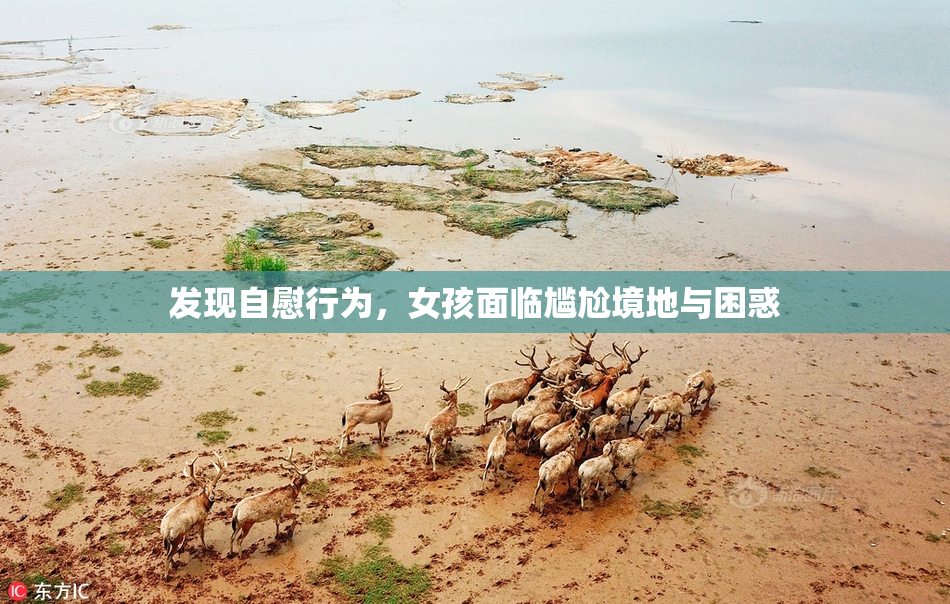 发现自慰行为，女孩面临尴尬境地与困惑