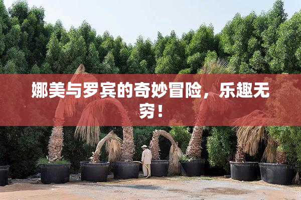 娜美与罗宾的奇妙冒险，乐趣无穷！