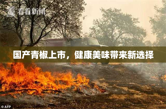 国产青椒上市，健康美味带来新选择