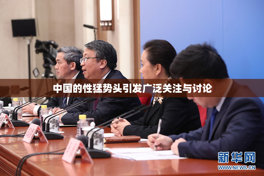 中国的性猛势头引发广泛关注与讨论
