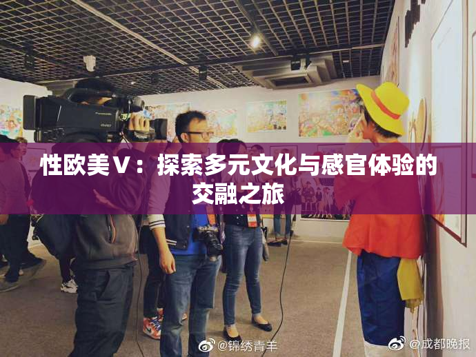 性欧美Ⅴ：探索多元文化与感官体验的交融之旅
