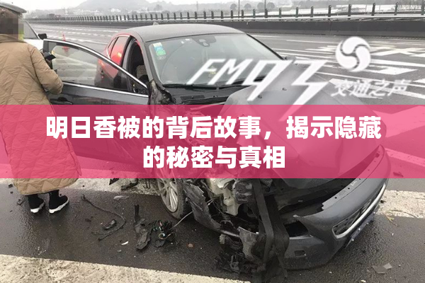 明日香被的背后故事，揭示隐藏的秘密与真相