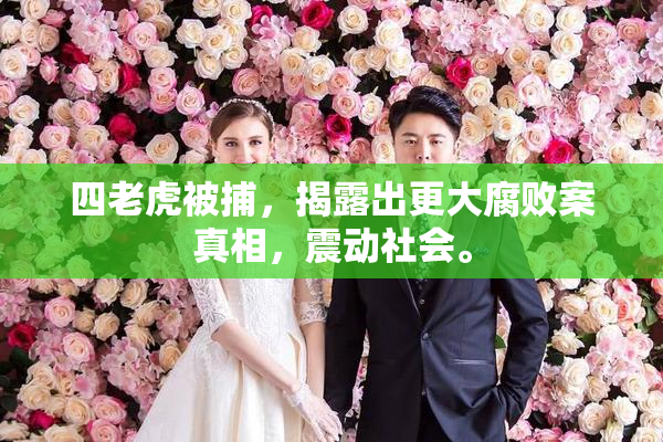 四老虎被捕，揭露出更大腐败案真相，震动社会。