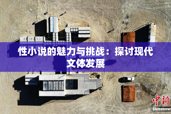 性小说的魅力与挑战：探讨现代文体发展