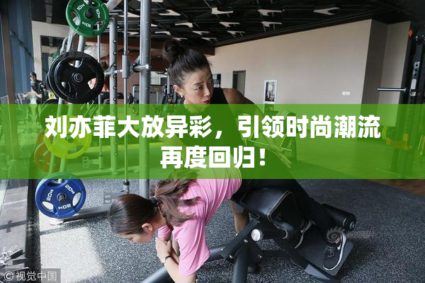 刘亦菲大放异彩，引领时尚潮流再度回归！