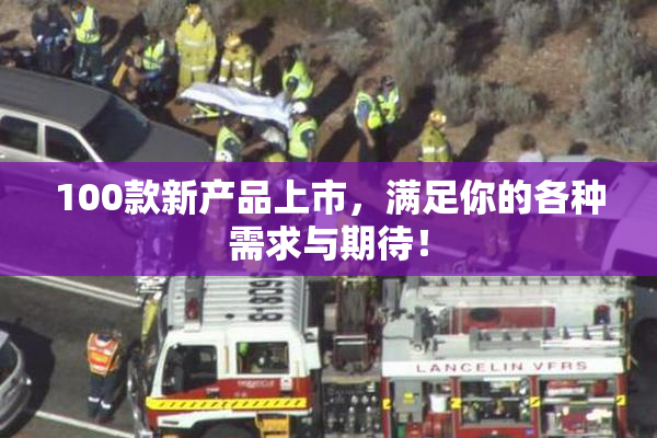 100款新产品上市，满足你的各种需求与期待！
