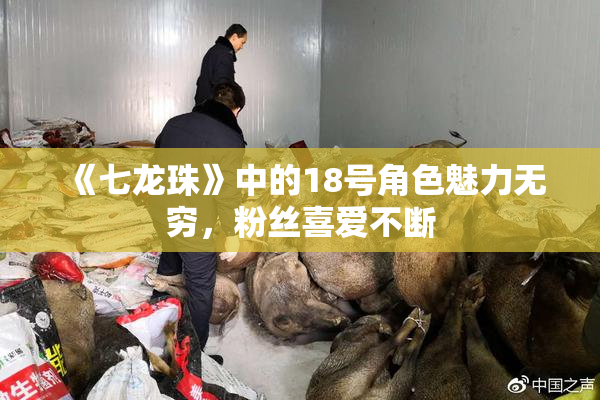《七龙珠》中的18号角色魅力无穷，粉丝喜爱不断