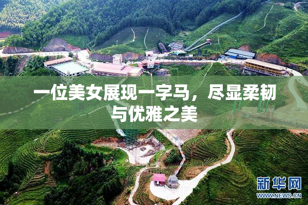 一位美女展现一字马，尽显柔韧与优雅之美