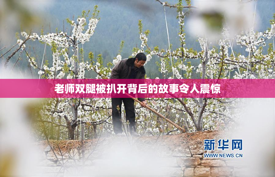 老师双腿被扒开背后的故事令人震惊
