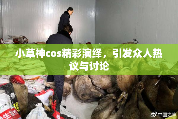 小草神cos精彩演绎，引发众人热议与讨论