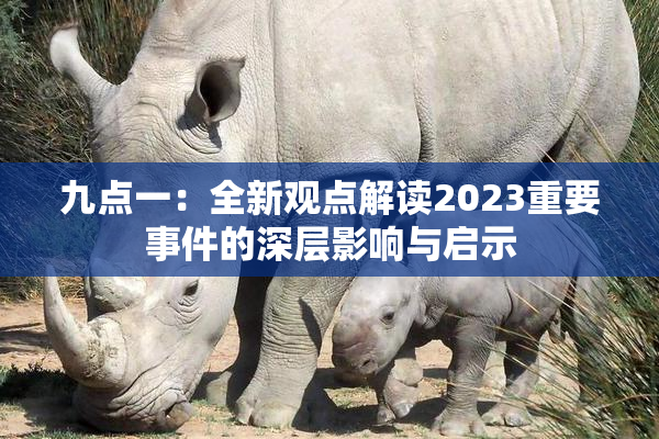 九点一：全新观点解读2023重要事件的深层影响与启示