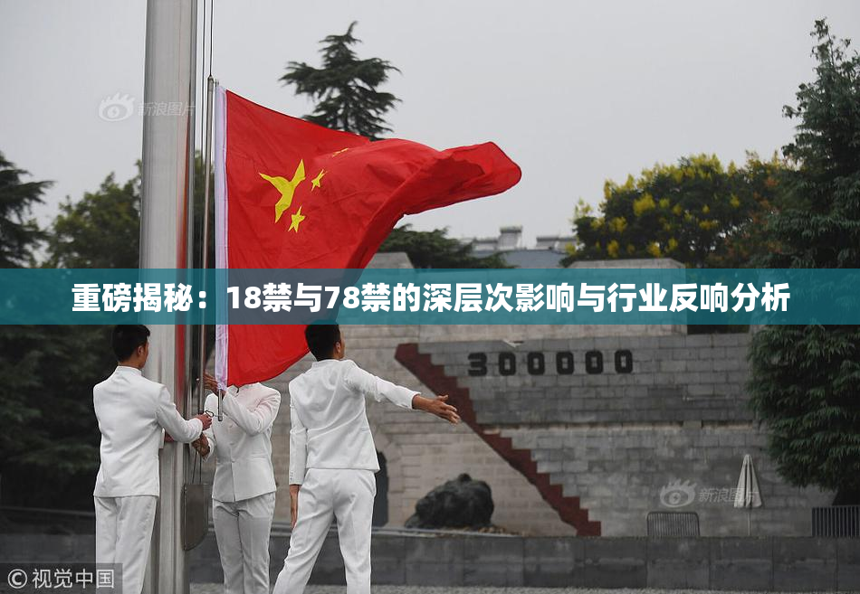 重磅揭秘：18禁与78禁的深层次影响与行业反响分析