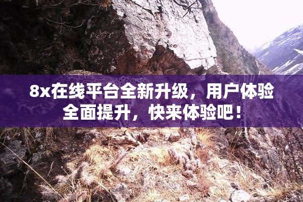 8x在线平台全新升级，用户体验全面提升，快来体验吧！