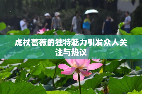 虎杖蔷薇的独特魅力引发众人关注与热议