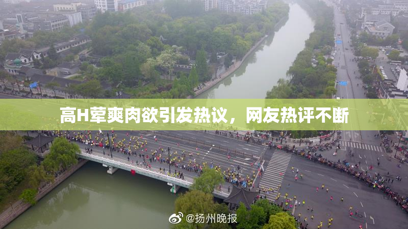 高H荤爽肉欲引发热议，网友热评不断