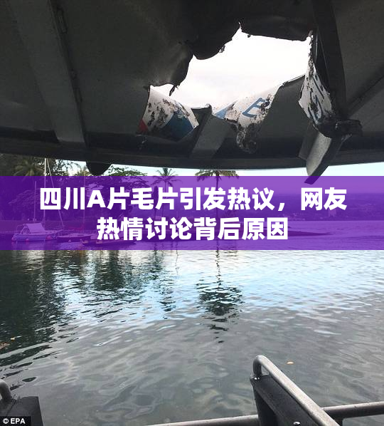 四川A片毛片引发热议，网友热情讨论背后原因