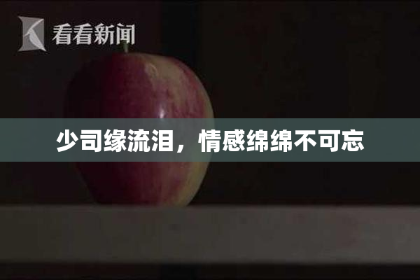 少司缘流泪，情感绵绵不可忘