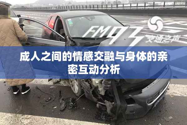 成人之间的情感交融与身体的亲密互动分析