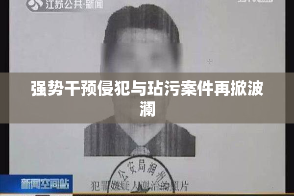 强势干预侵犯与玷污案件再掀波澜