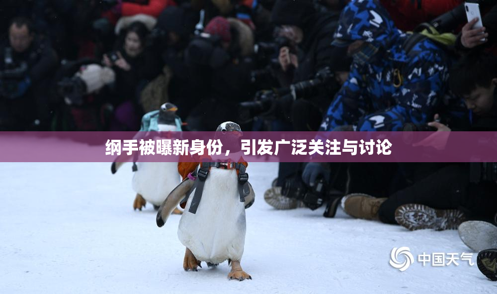 纲手被曝新身份，引发广泛关注与讨论