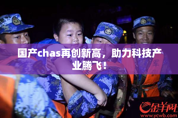 国产chas再创新高，助力科技产业腾飞！