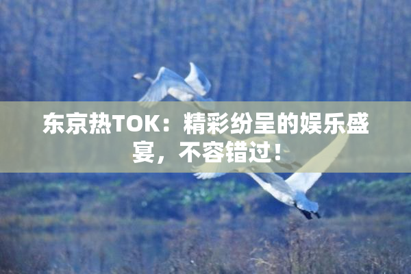 东京热TOK：精彩纷呈的娱乐盛宴，不容错过！