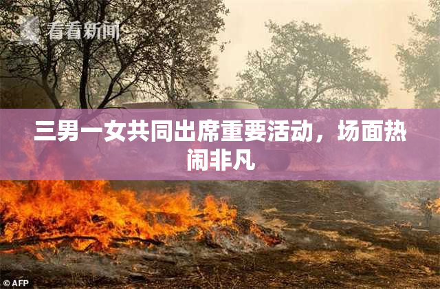 三男一女共同出席重要活动，场面热闹非凡