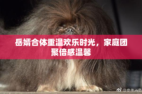 岳婿合体重温欢乐时光，家庭团聚倍感温馨