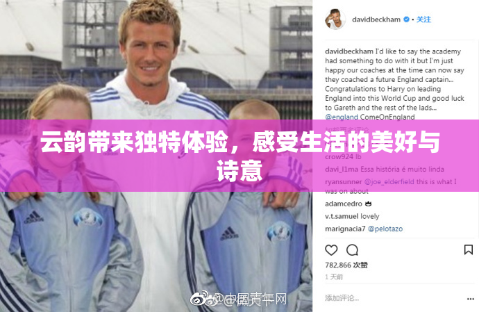 云韵带来独特体验，感受生活的美好与诗意