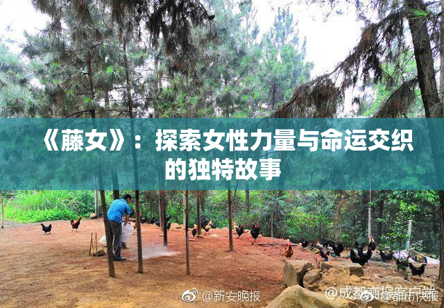 《藤女》：探索女性力量与命运交织的独特故事