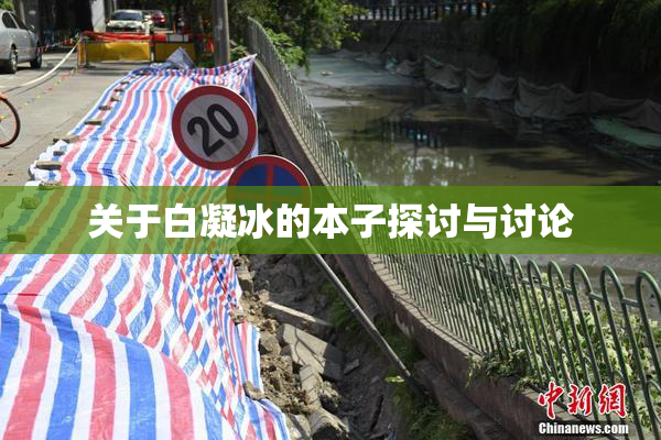 关于白凝冰的本子探讨与讨论