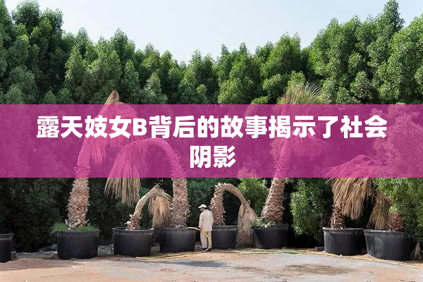 露天妓女B背后的故事揭示了社会阴影