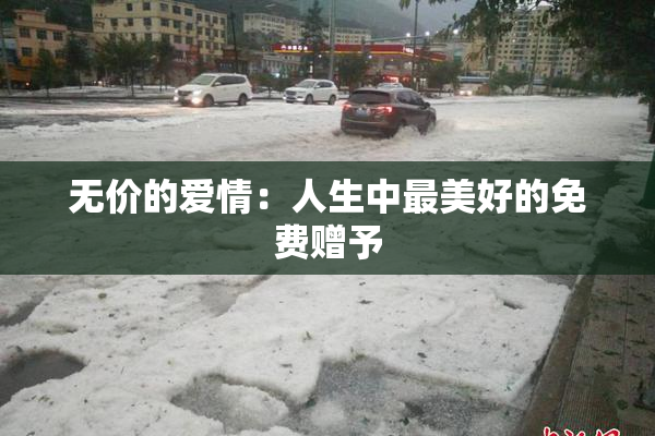 无价的爱情：人生中最美好的免费赠予