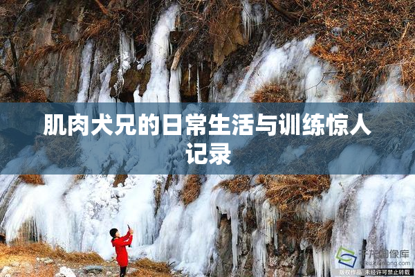 肌肉犬兄的日常生活与训练惊人记录
