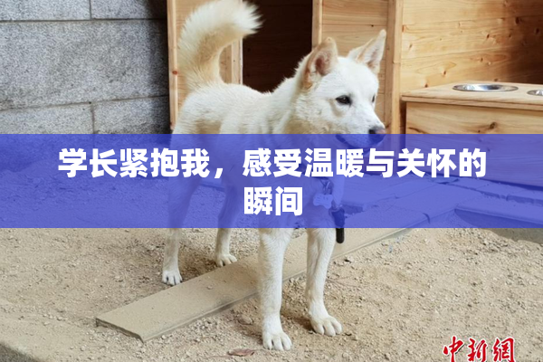 学长紧抱我，感受温暖与关怀的瞬间