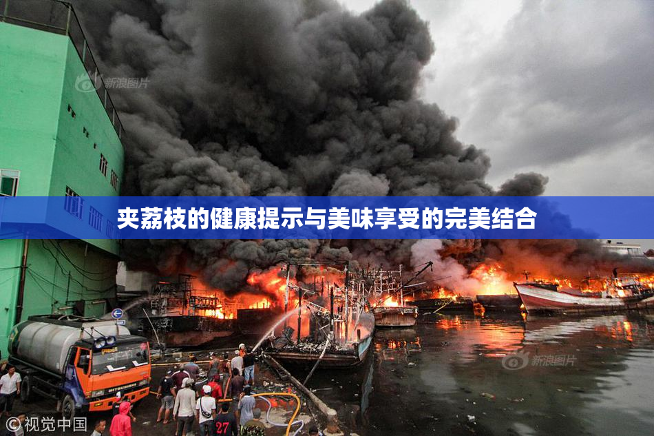 夹荔枝的健康提示与美味享受的完美结合