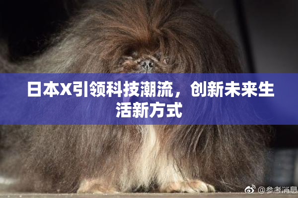 日本X引领科技潮流，创新未来生活新方式