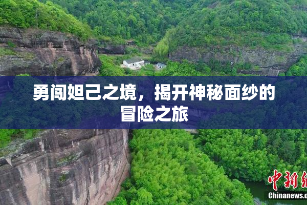 勇闯妲己之境，揭开神秘面纱的冒险之旅