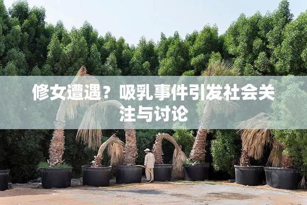 修女遭遇？吸乳事件引发社会关注与讨论