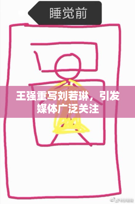 王强重写刘若琳，引发媒体广泛关注