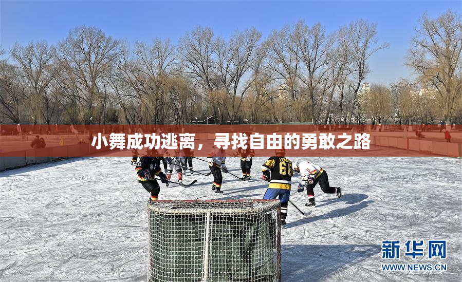 小舞成功逃离，寻找自由的勇敢之路