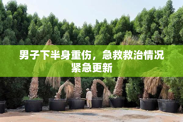男子下半身重伤，急救救治情况紧急更新